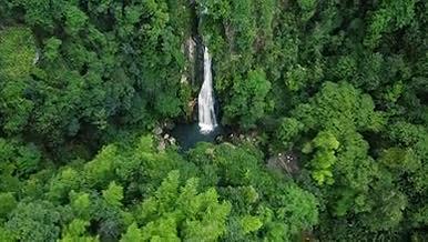 2K实拍原始森林瀑布无人机航拍上帝视角视频的预览图